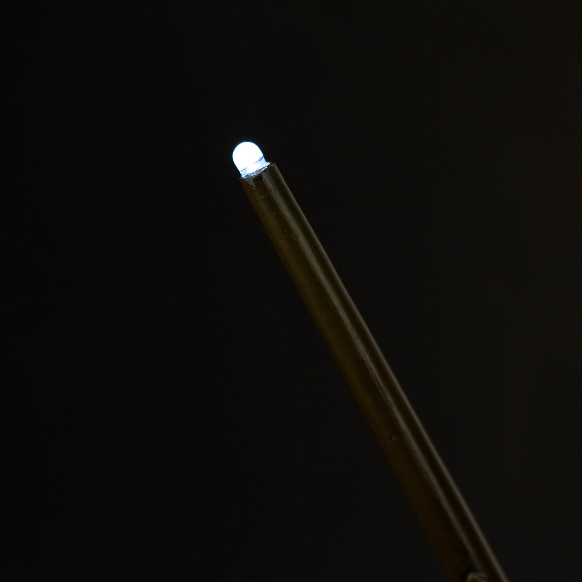 Magic Wand  With LED Light_1